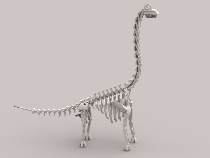 skeleton brachiosaurus