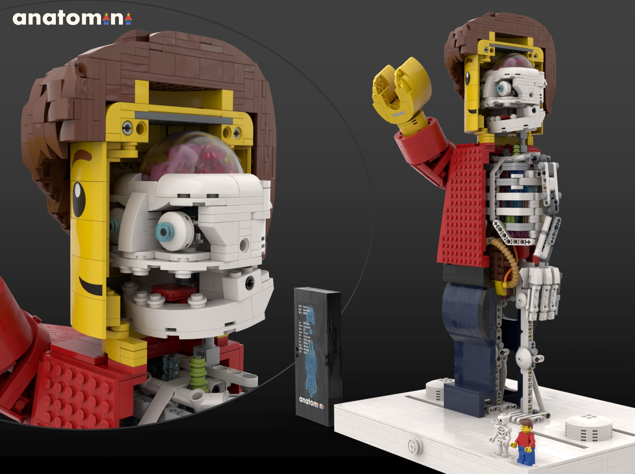 [Anatomini] [BrickLink]